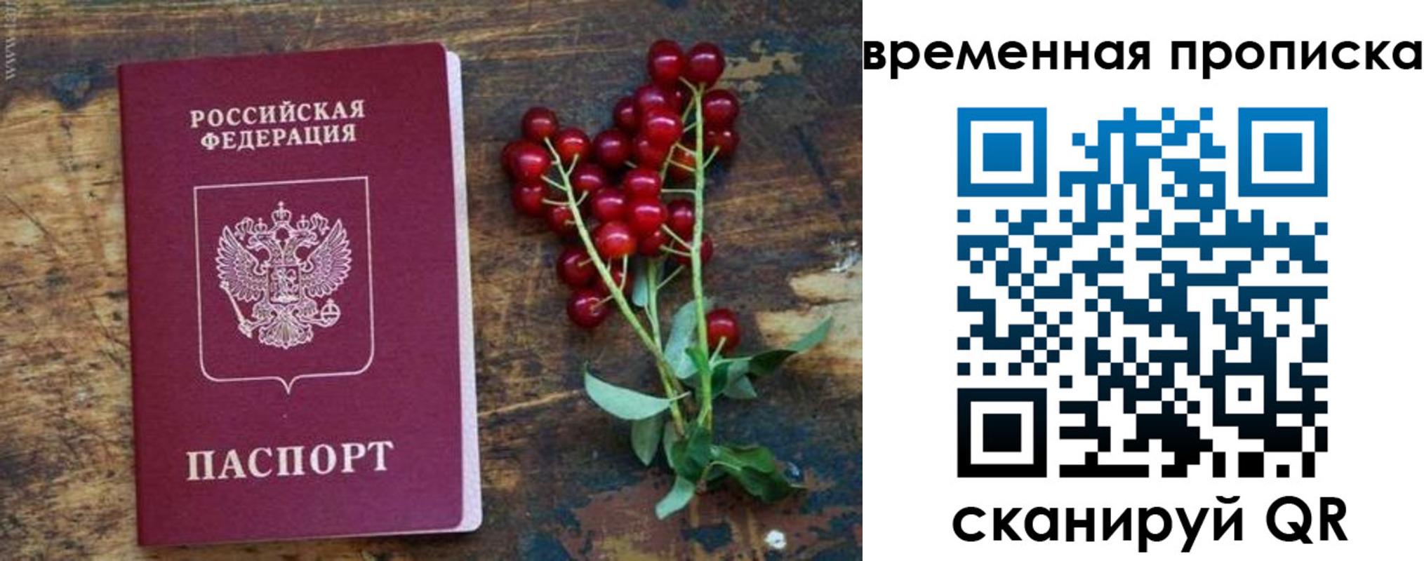 временная регистрация гарантия в Межгорье